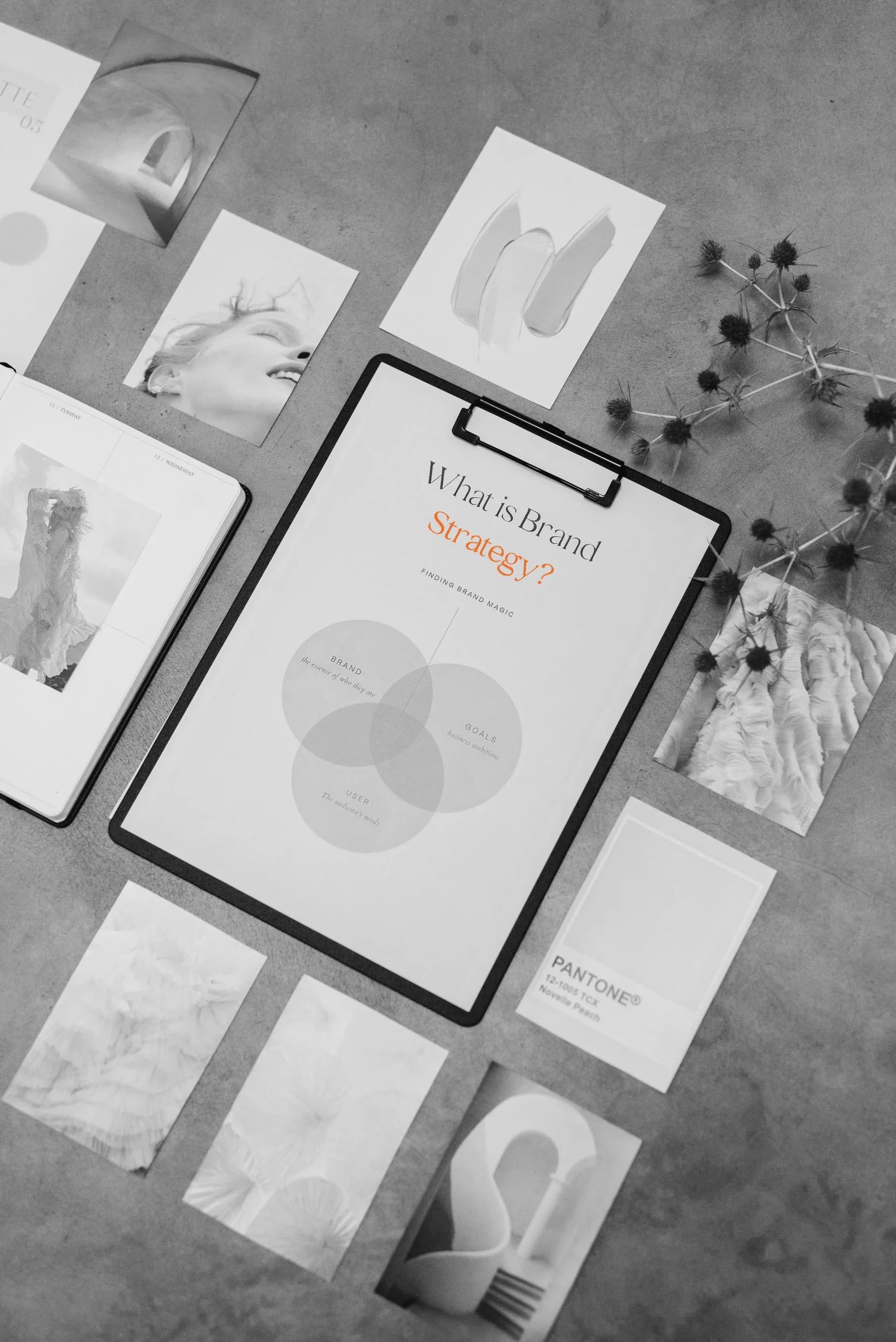 Brand identity collateral laid out on a desk